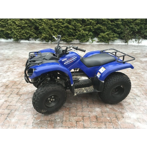 Квадроцикл GRIZZLY 125