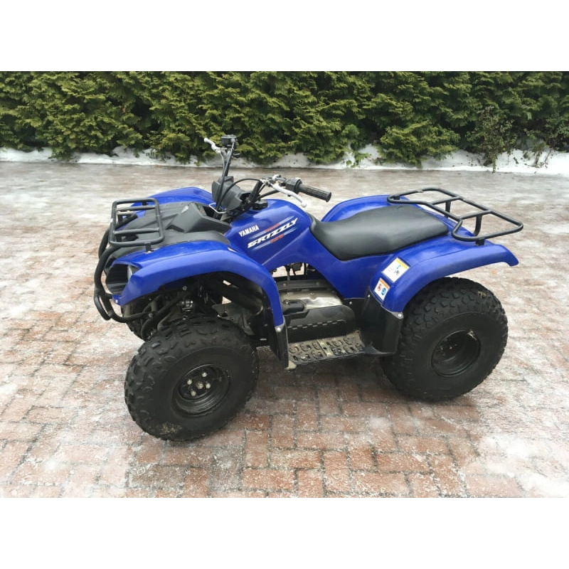 Квадроцикл GRIZZLY 125