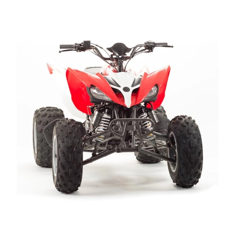 Квадроцикл MOTOLAND 125S (2020 Г.)