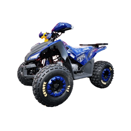 Квадроцикл MOTOLAND 125 Coyote Pro