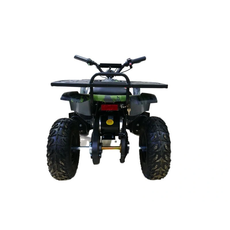 Электроквадроцикл MOTAX Grizlik X16 New E1000 Big Wheel