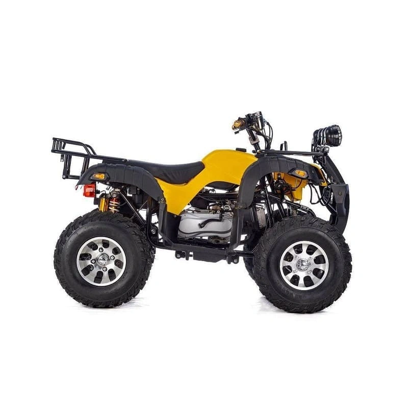 Квадроцикл RAPTOR Max Pro 250 (жёлтый/чёрный) (2024)