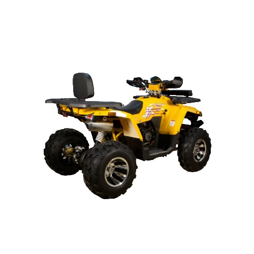 Квадроцикл AVANTIS Hunter 200 Big Premium (Баланс. вал)