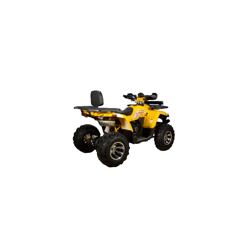 Квадроцикл AVANTIS Hunter 200 Big Premium (Баланс. вал)