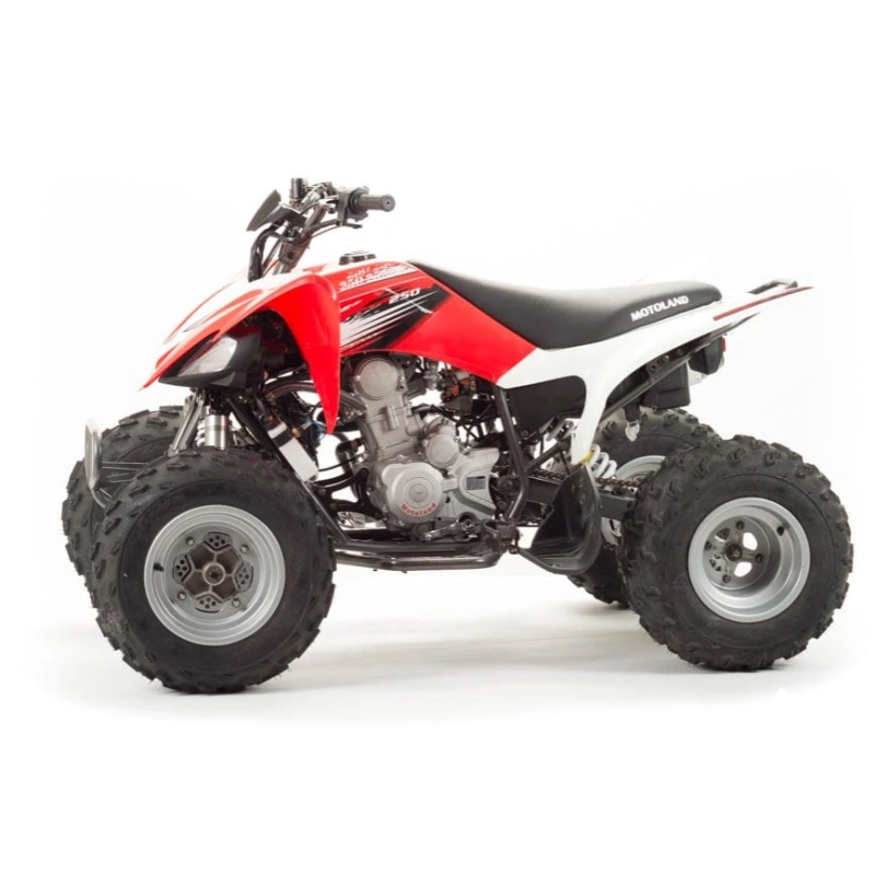 Квадроцикл MOTOLAND 125S (2020 Г.)