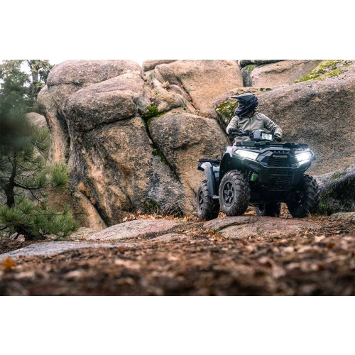 Квадроцикл KAWASAKI Brute Force 750 EPS (2024) (ПСМ)