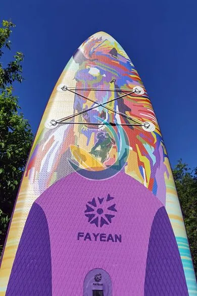 fayean_spirit_116_kargo_sistema.jpg