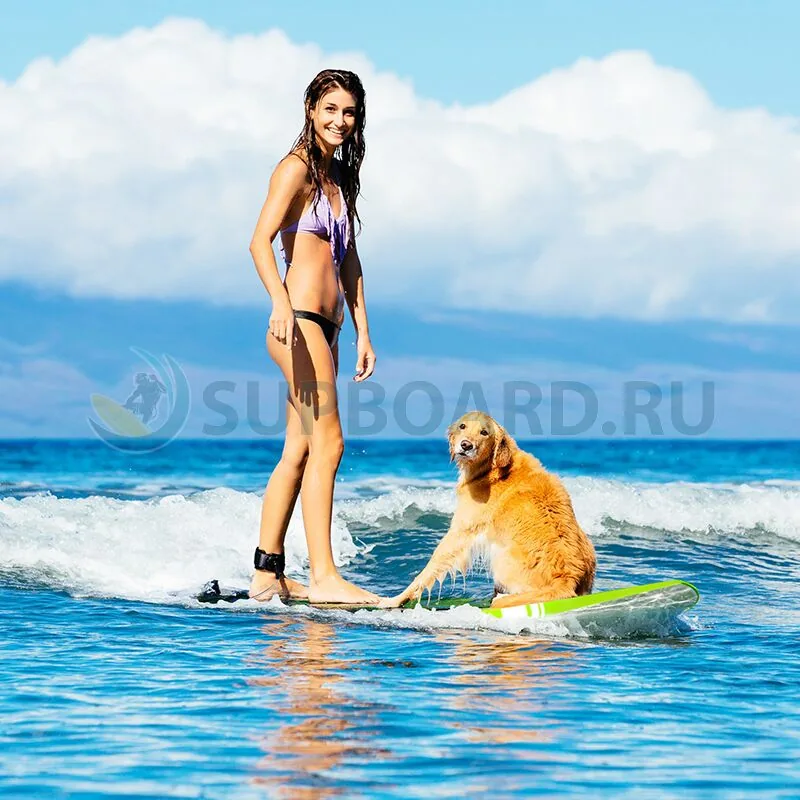fayean_oasis_sup.jpg