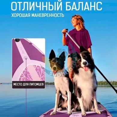 dama-freelife-yoga-std-106-mesto-dlya-pitomcev.jpg