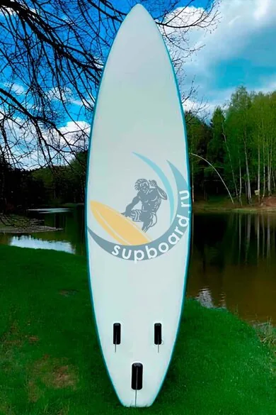 sapbord-fayean-samurai-106-obshchij-vid-szadi.jpg
