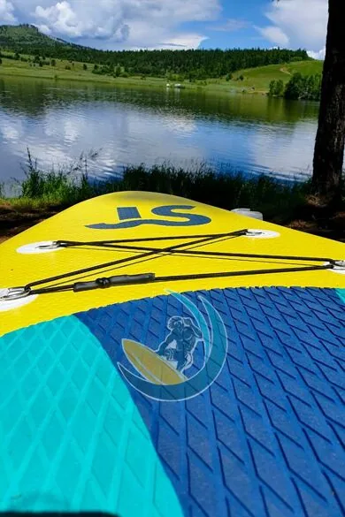 js335_sapbord.jpg